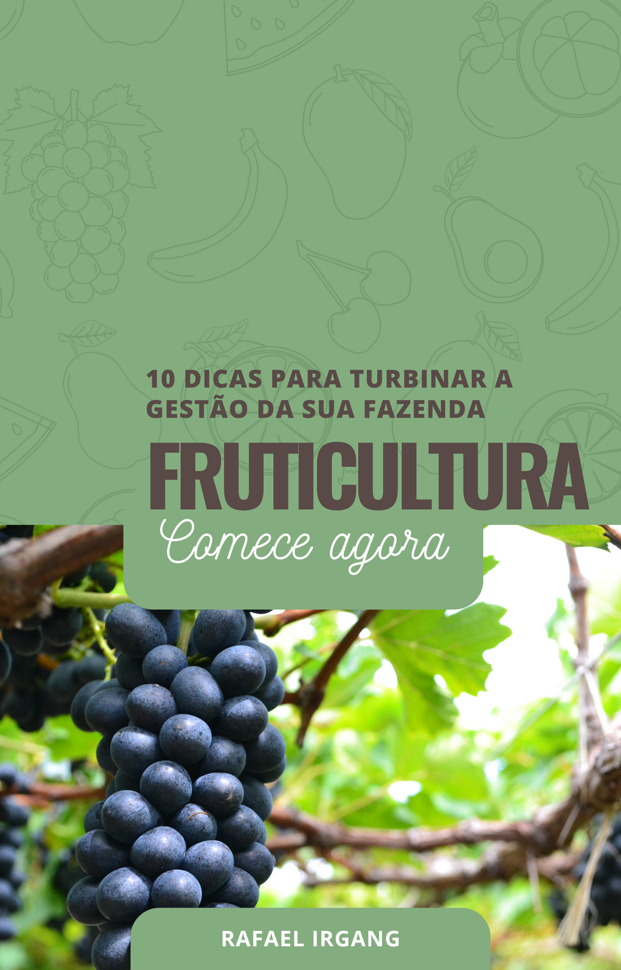 capa e-book 10 Dicas para Turbinar a Gestão da Sua Fazenda de Fruticultura