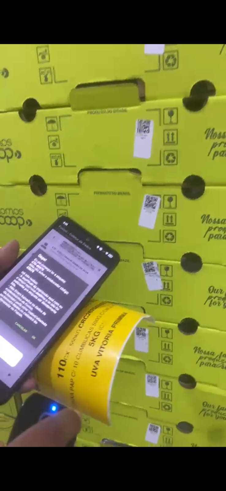 automação de bipagem de produção do packing house via Qr code