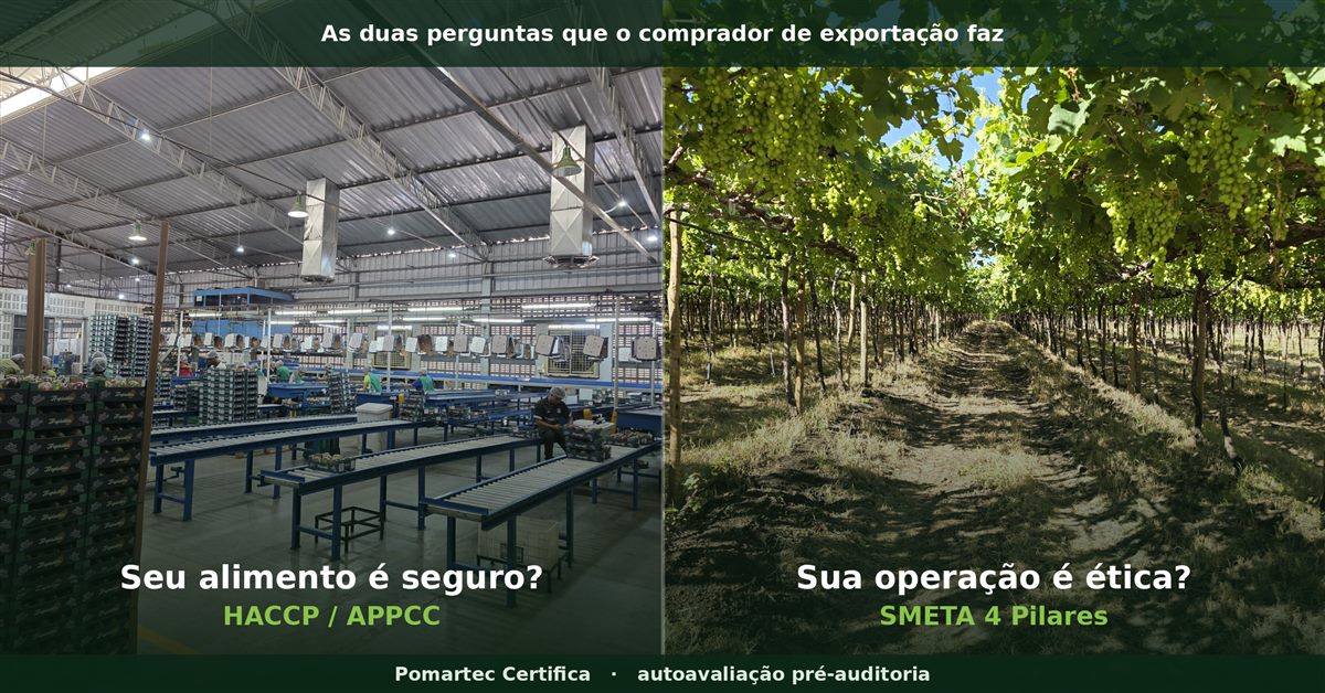 Certificação para exportação de frutas: HACCP e SMETA